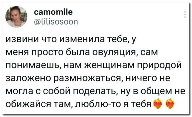 Забавные комментарии из социальных сетей 16.07.23