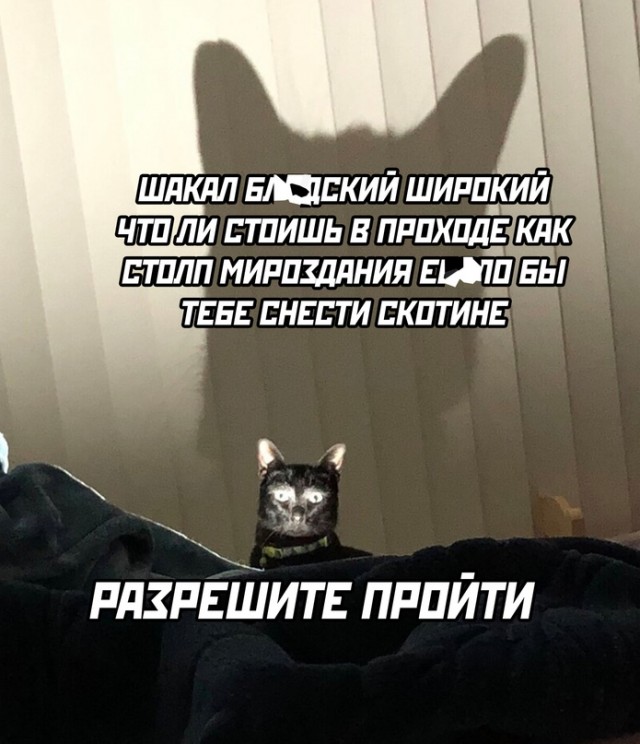 Весёлый полтишок 30.07.23