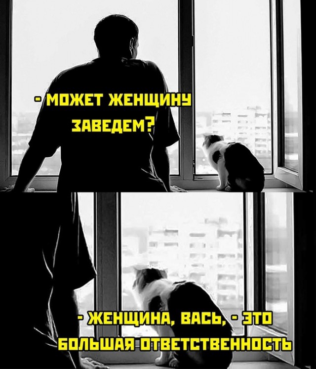Весёлый полтишок 29.08.23