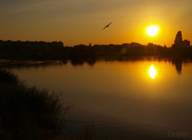 Мои фото без обработки