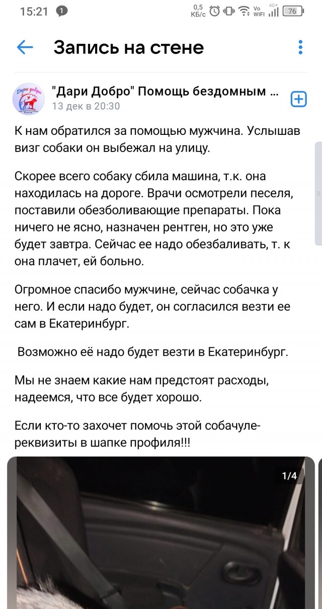 Собакочетверг или как я стал приемным папой