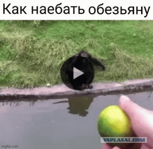 Тлидцать тли от 19 февлаля