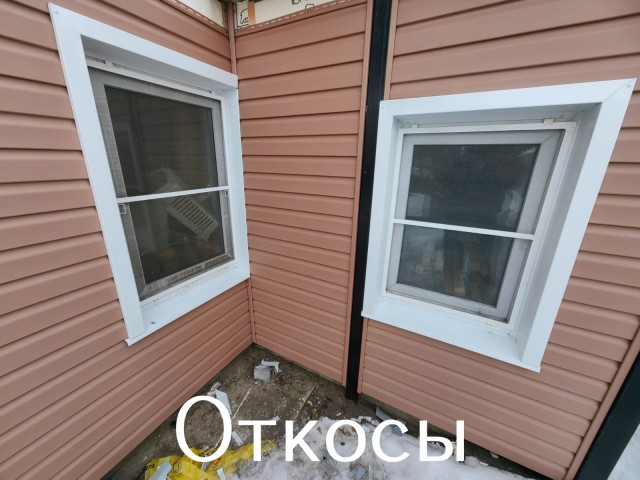 Жизнь домашнего приюта "Котоленд" 428