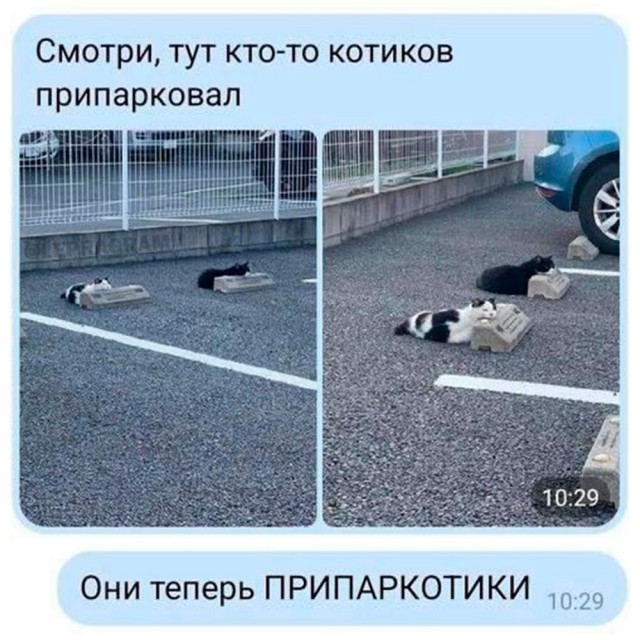 Забавные комментарии из социальных сетей (08.04.24)
