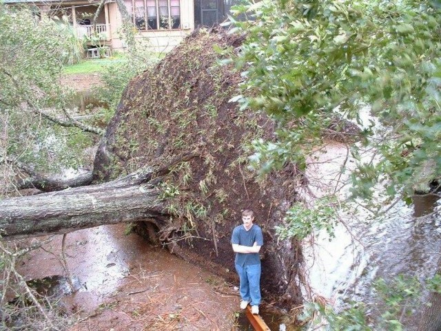 ФотоВинегрет