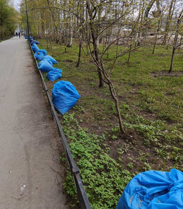 Туловище и голову человека нашли в двух пакетах в поле в Шушарах