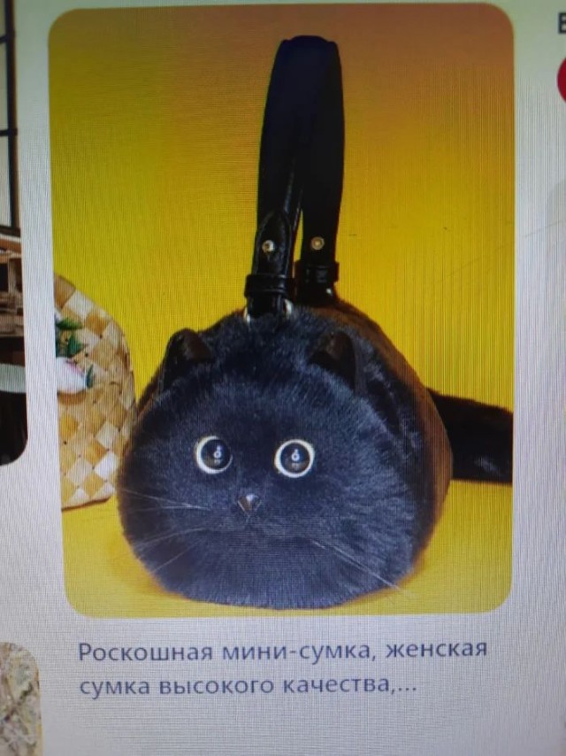 Прикольные и просто красивые картинки 24.05.2024