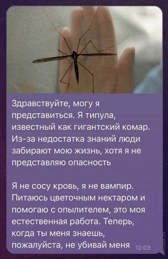 Так себе картинки 05.08.24