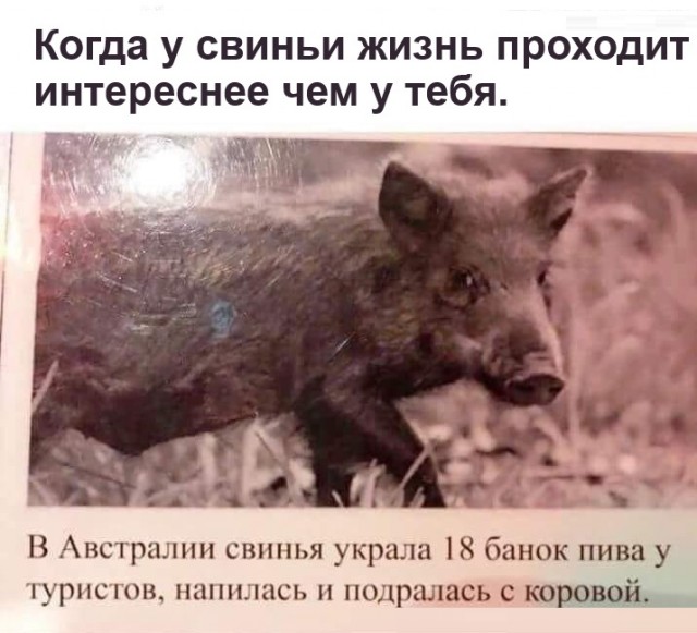 Картинки разные с надписями и без