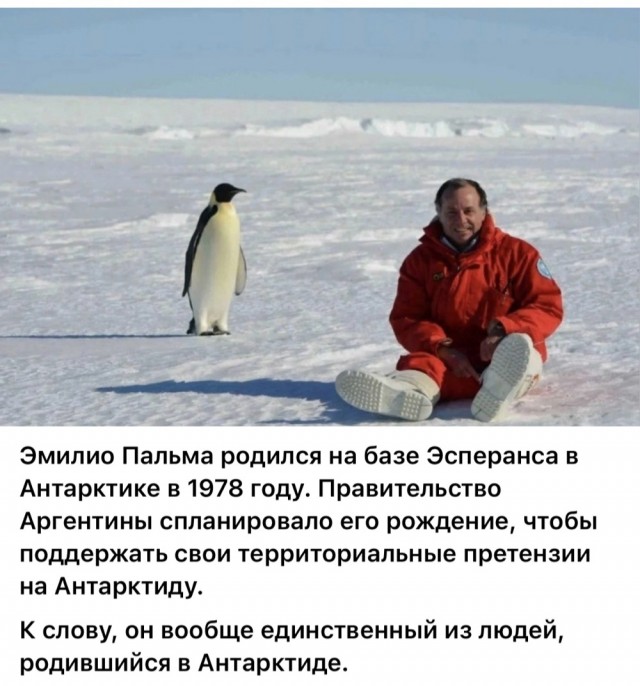 Редкие кадры и архивные снимки 15.01.25