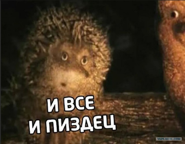 В Иране лев съел своего хозяина