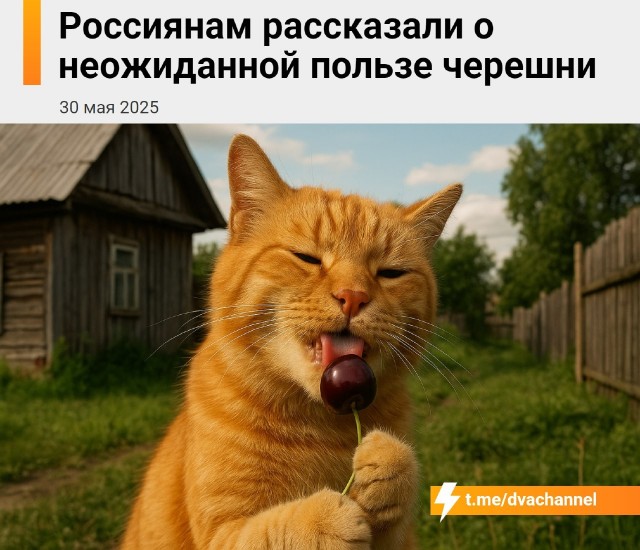 Черешня — одна из самых полезных ягод для здоровья, говорят ученые-фруктологи