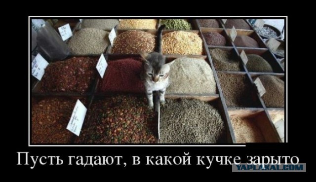 Раскопки архивов картинок.