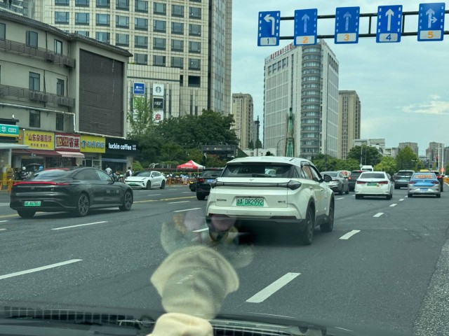 Китайский автопром не выдержал жары в Краснодаре