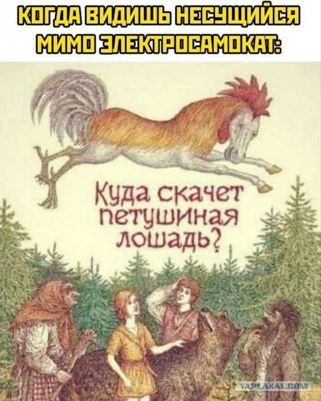 Самокатчикам хотят выдавать права категории «М» по упрощенной схеме