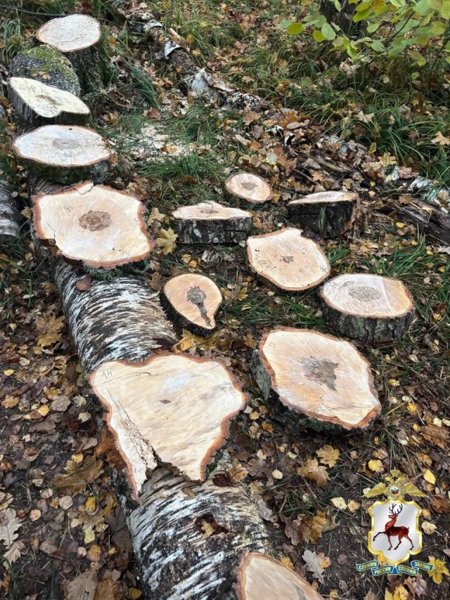 Вот фантазия у людей бывает....