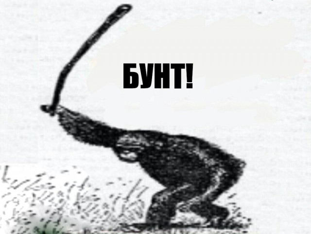 В Вологодской области введены ограничения на использование мобильного интернета