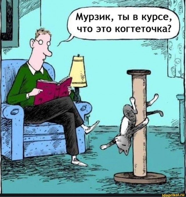 Куча мала 7