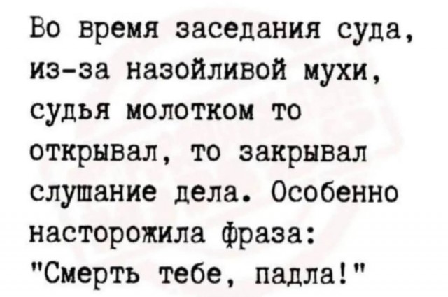 Маленькая пятница 19.11