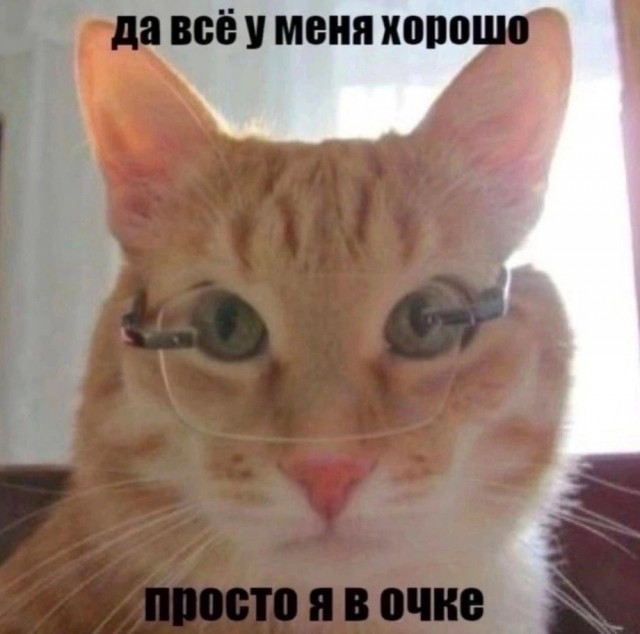 Субботние картинки