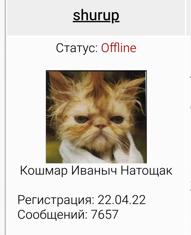 Помогите опознать породу!