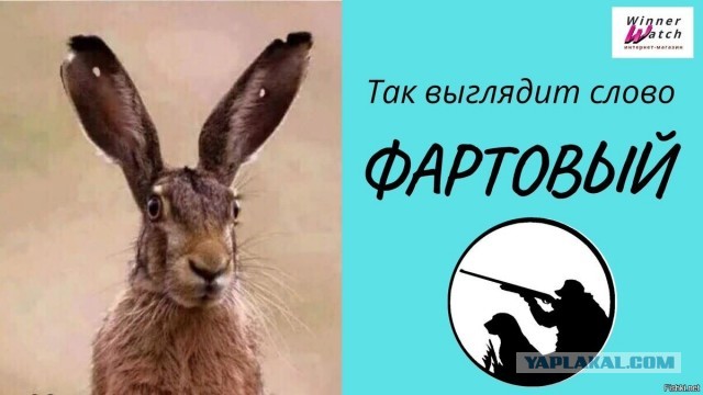 Заяц провернул коварный трюк в Джилинском заказнике в Забайкальском крае.