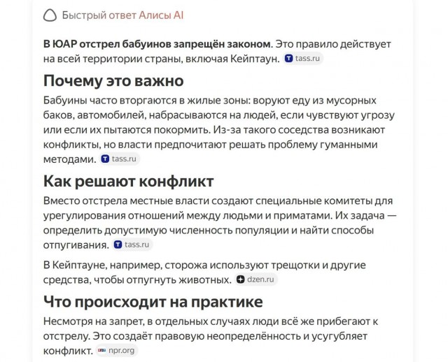 Бабуины с Мыса Доброй Надежды совершают набеги на туристов в поисках еды
