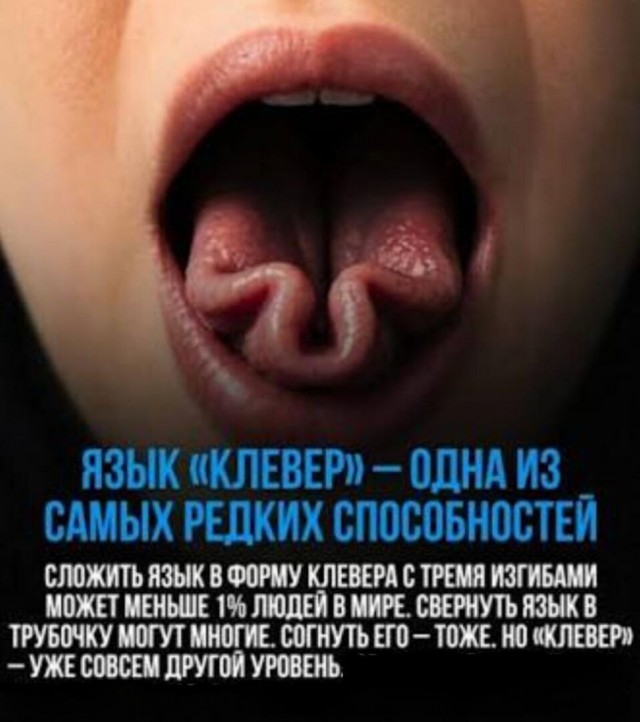 Картинки всякие разные невпопад 1.6