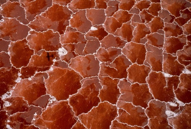 Узоры матушки природы: "Вид сверху"