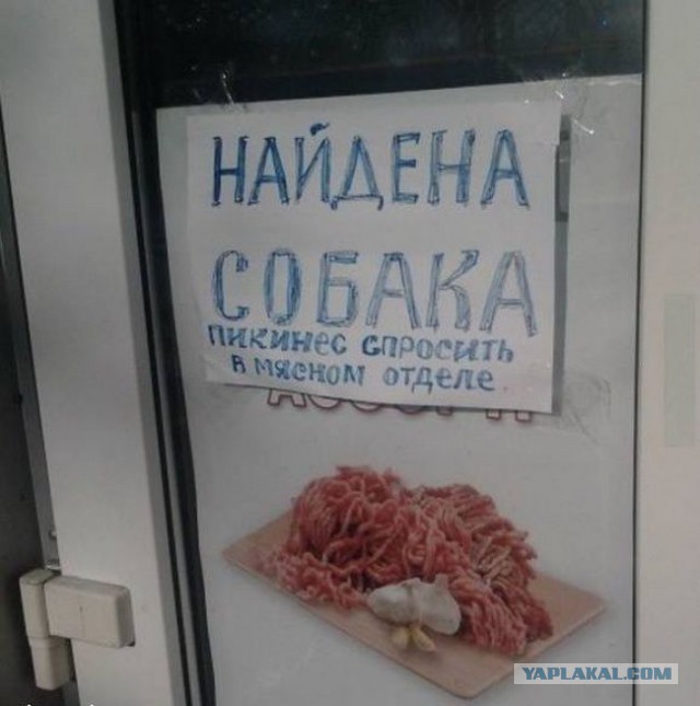 Весёлые картинки. Разбавим будни