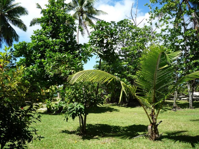 Как я съездил на Сейшелы