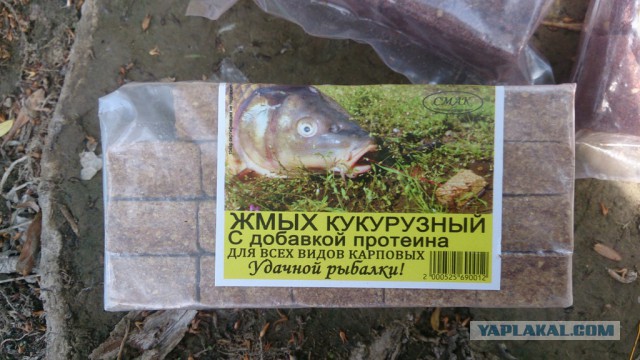 Немного рыбалки под Астраханью