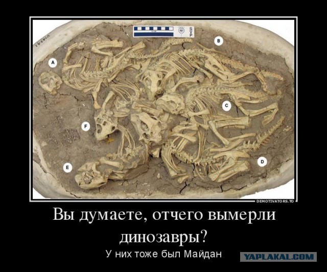 Кризис в Украине глазами карикатуристов