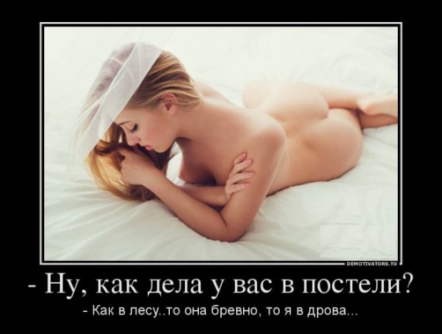 Горячие демотиваторы