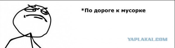 По дороге к мусорному баку