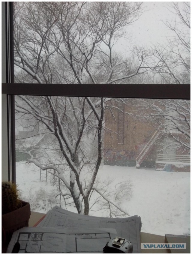 СНЕЖОК Владивосток 26.02.2015
