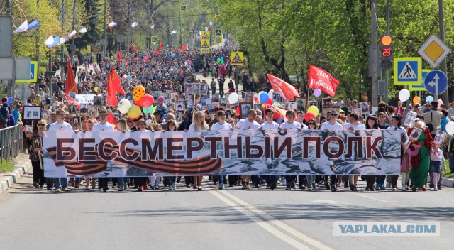 «Бессмертный полк» шагает по России