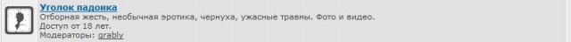 Уголок подонка и белый лебедь