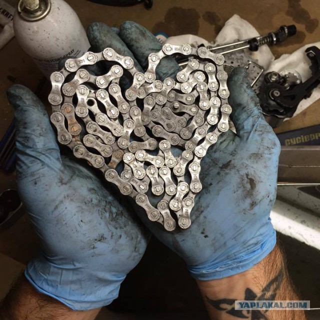 Очередные картинки на субботу