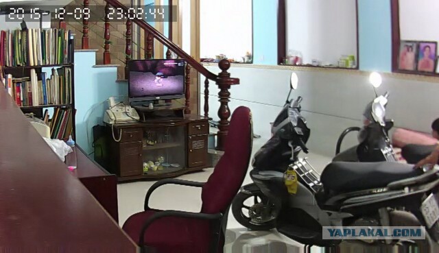 За что я люблю китайцев