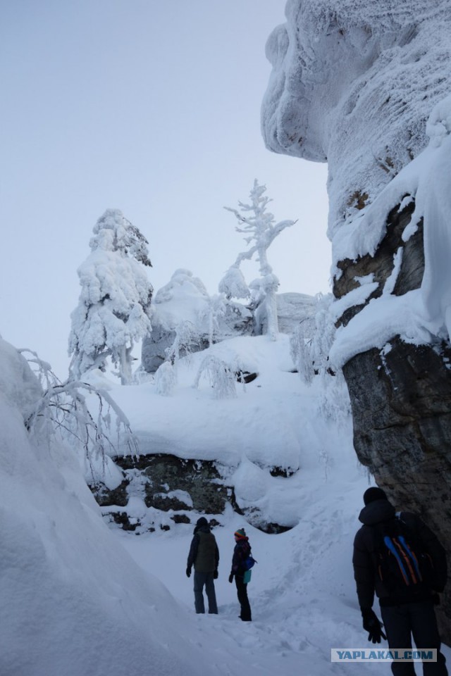 Зимняя сказка в Пермском крае (Россия,январь 2016)