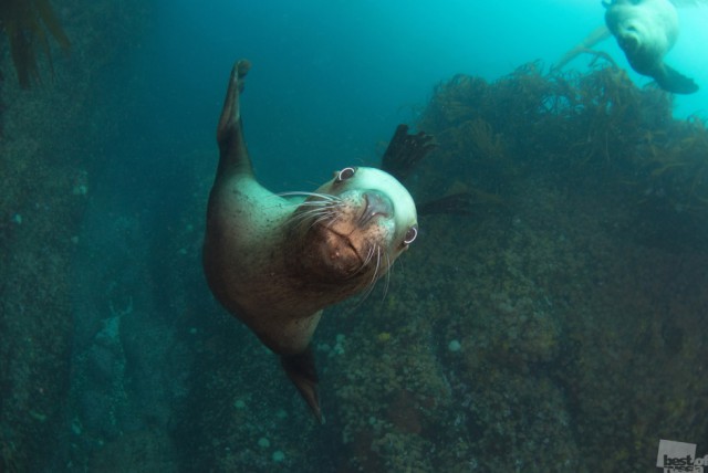 Фотографии победителей премии Best of Russia — 2015