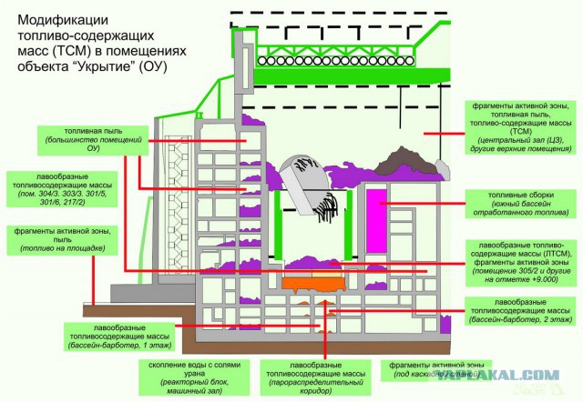 Доступно об "Арке"