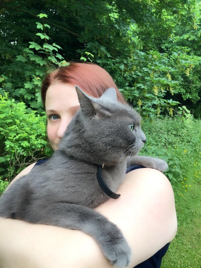 Котовторник 28.06.2016