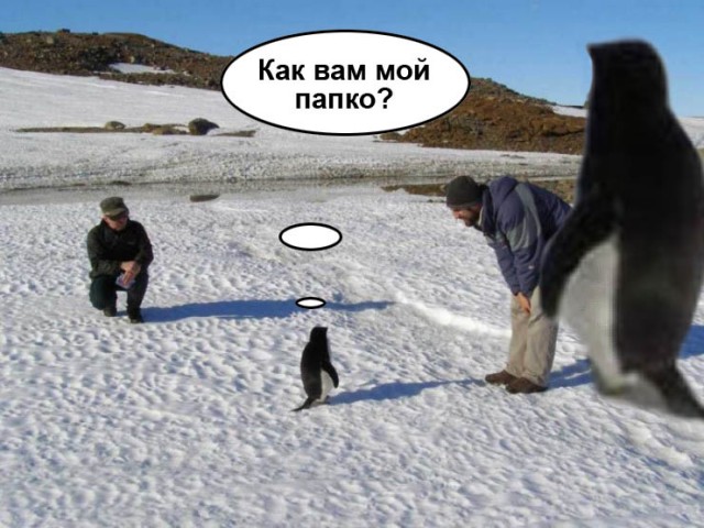 Фотожаба: Полярники окружают!