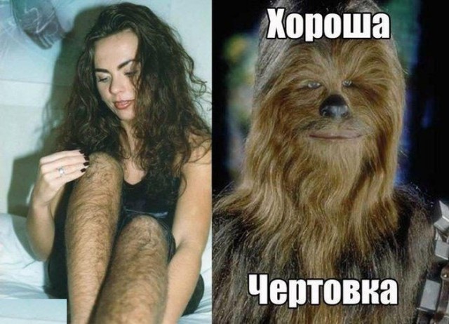 Юмор не для всех