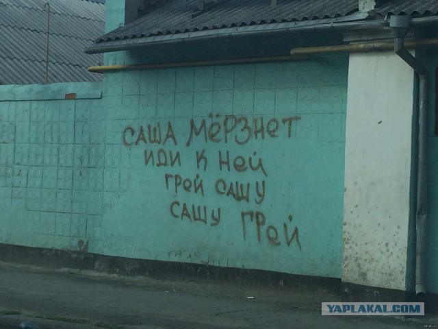 Всячина. 33 картинки