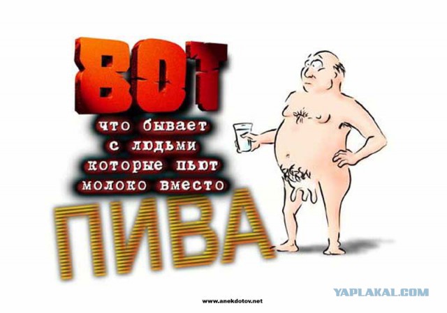Подборка прикольных плакатов