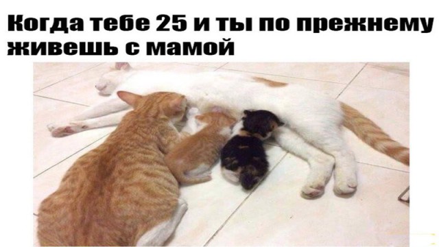 Подборка интересных и веселых картинок
