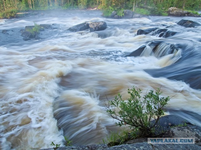 Карелия. Белое море. Немного о рыбалке.